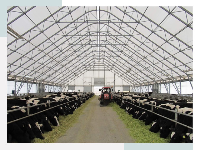 Тентовые коровники в Ирбите от 660 руб. - Надежно и доступно